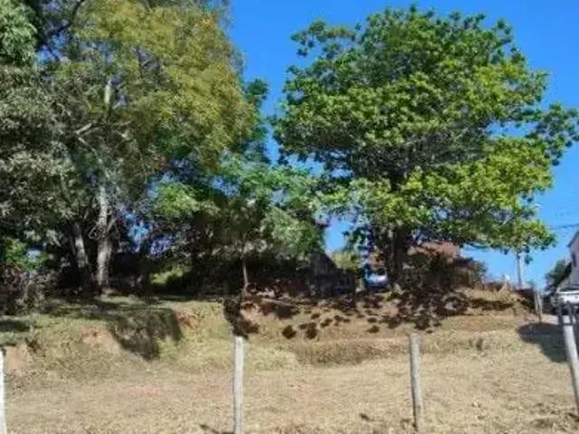 Terreno comercial para Locação em Florianópolis/SC João Paulo