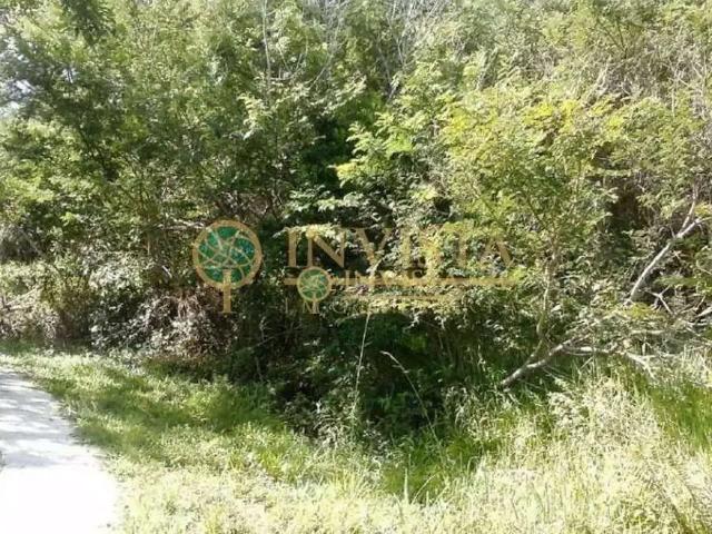 Terreno comercial para Locação em Florianópolis/SC Pantanal