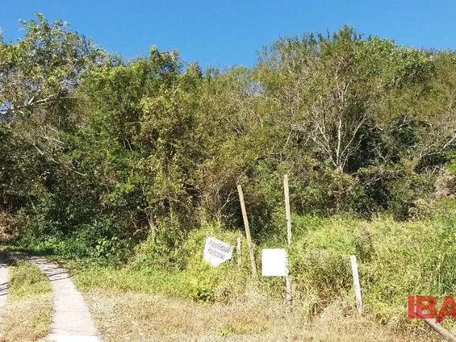 Terreno comercial para Locação em Florianópolis/SC Pantanal