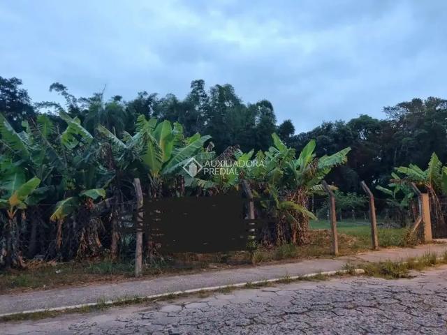 Terreno comercial para Locação em Florianópolis/SC Ratones