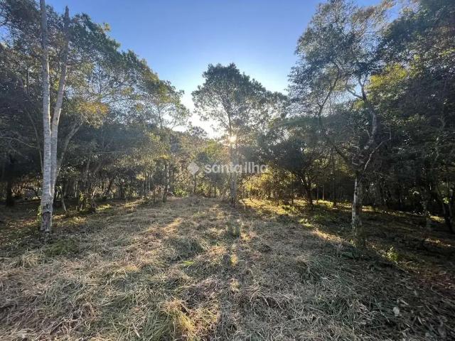 Terreno comercial para Locação em Florianópolis/SC Rio Tavares