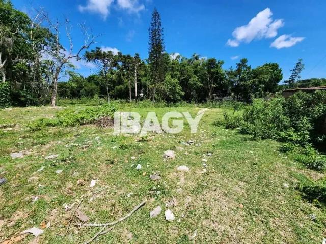 Terreno comercial para Locação em Florianópolis/SC Vargem Pequena