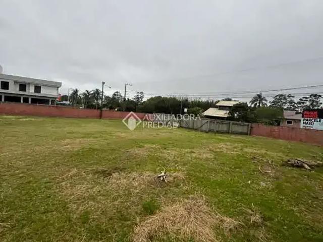 Terreno comercial para Locação em Garopaba/SC Campo Duna