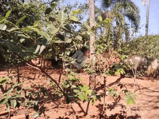 Terreno comercial para Locação em Goiânia/GO Setor Faiçalville