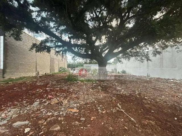 Terreno comercial para Locação em Gravataí/RS COHAB A