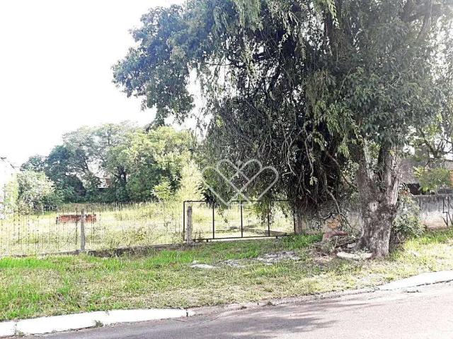Terreno comercial para Locação em Gravataí/RS São Judas Tadeu