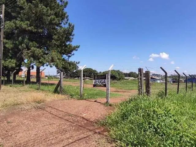 Terreno comercial para Locação em Guarapuava/PR Primavera