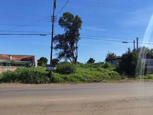 Terreno comercial para Locação em Guarapuava/PR Vila Bela