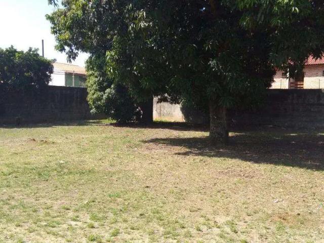 Terreno comercial para Locação em Guarulhos/SP Jardim Cocaia