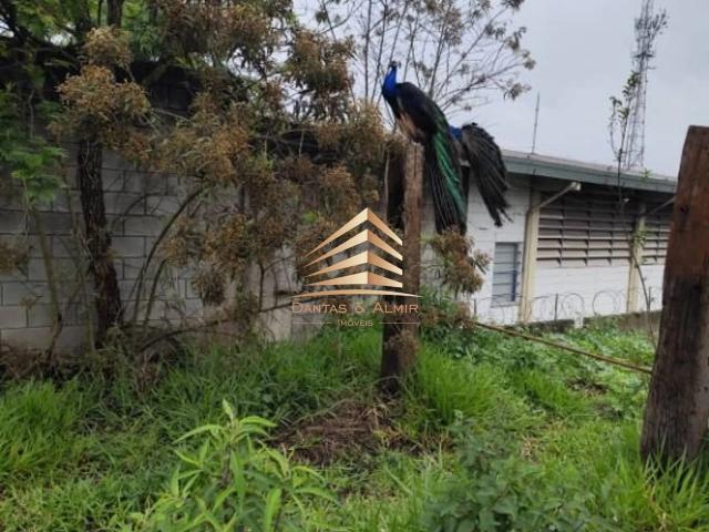 Terreno comercial para Locação em Guarulhos/SP Jardim Santo Afonso