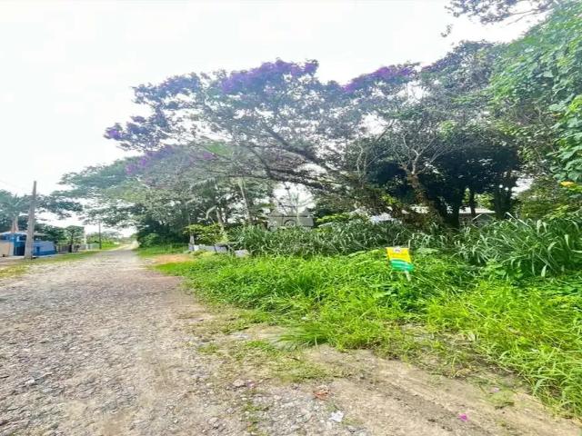 Terreno comercial para Locação em Itapoá/SC Cambijú 1 Quartos