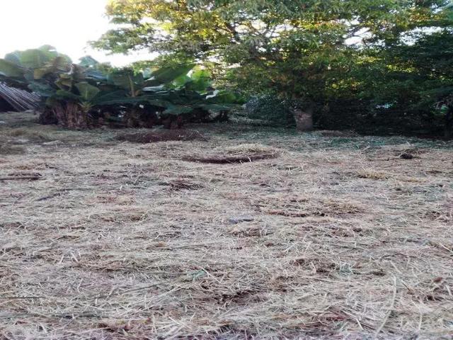 Terreno comercial para Locação em Itaquaquecetuba/SP Vila Virgínia