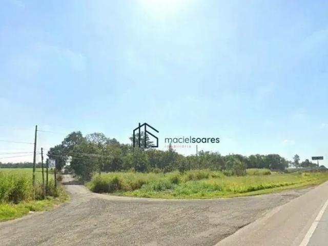 Terreno comercial para Locação em Jaguariúna/SP Área Rural de Jaguariúna