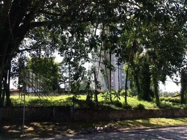Terreno comercial para Locação em Joinville/SC Anita Garibaldi