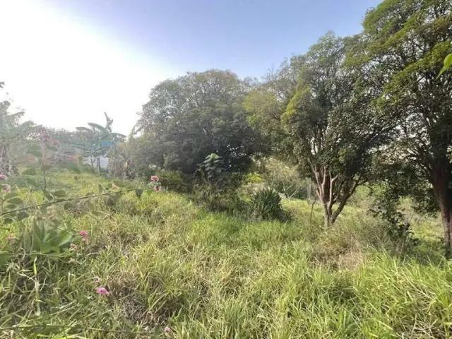 Terreno comercial para Locação em Jundiaí/SP Engordadouro