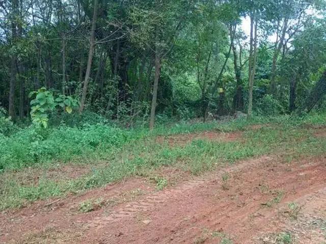 Terreno comercial para Locação em Jundiaí/SP Jundiaí Mirim