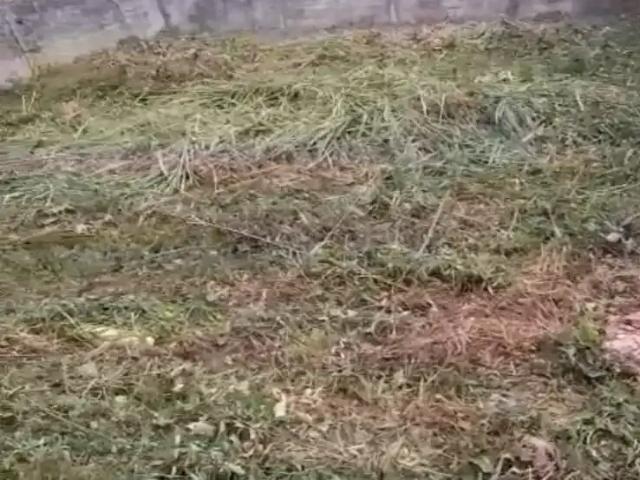 Terreno comercial para Locação em Juiz de Fora/MG São Mateus