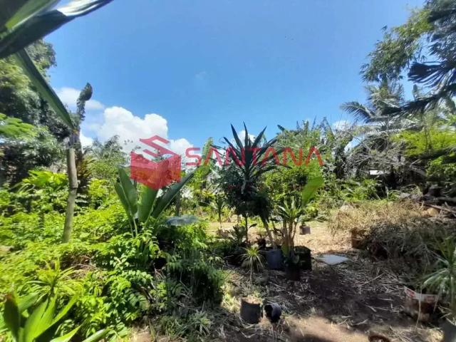 Terreno comercial para Locação em Lauro de Freitas/BA Portão