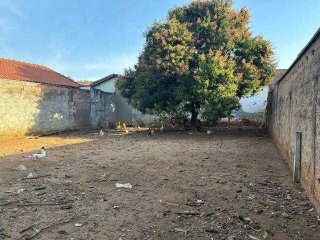 Terreno comercial para Locação em Limeira/SP Jardim Santo André