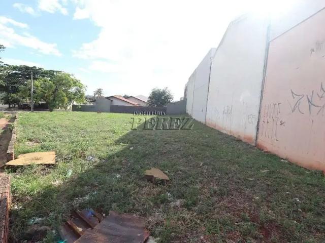 Terreno comercial para Locação em Londrina/PR Monte Carlo