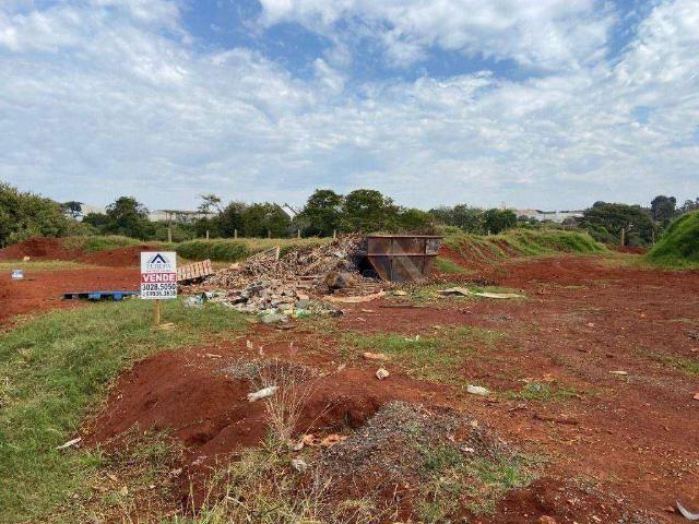 Terreno comercial para Locação em Londrina/PR Cilo 2