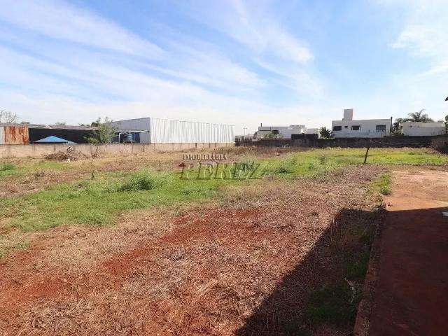 Terreno comercial para Locação em Londrina/PR Esperança