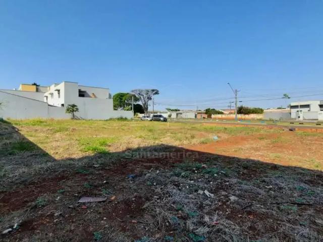 Terreno comercial para Locação em Londrina/PR Jardim São Paulo II