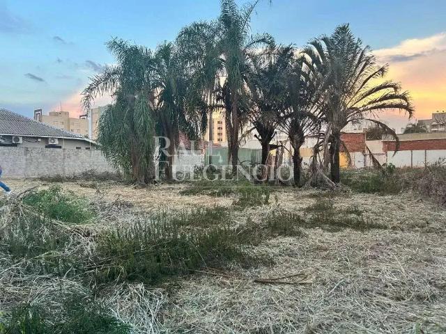 Terreno comercial para Locação em Londrina/PR Vila Ipiranga