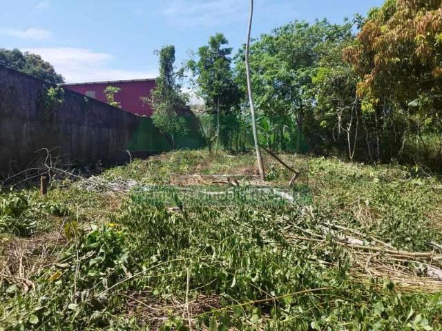 Terreno comercial para Locação em Manaus/AM Cidade de Deus