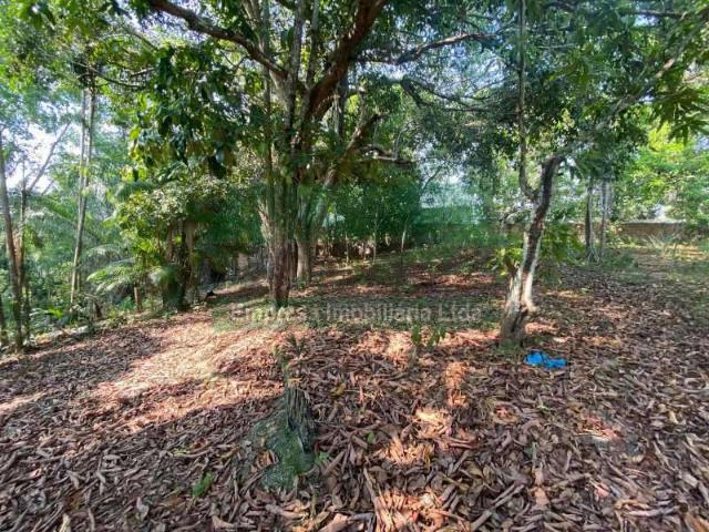 Terreno comercial para Locação em Manaus/AM Distrito Industrial II