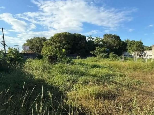 Terreno comercial para Locação em Manaus/AM Flores