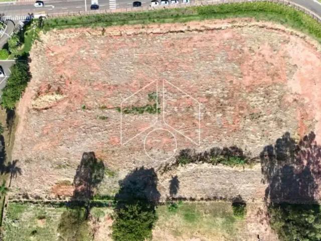 Terreno comercial para Locação em Marília/SP Alto Cafezal