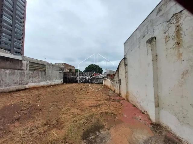 Terreno comercial para Locação em Marília/SP Alto Cafezal