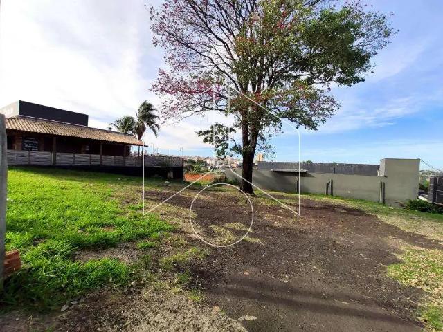 Terreno comercial para Locação em Marília/SP Barbosa
