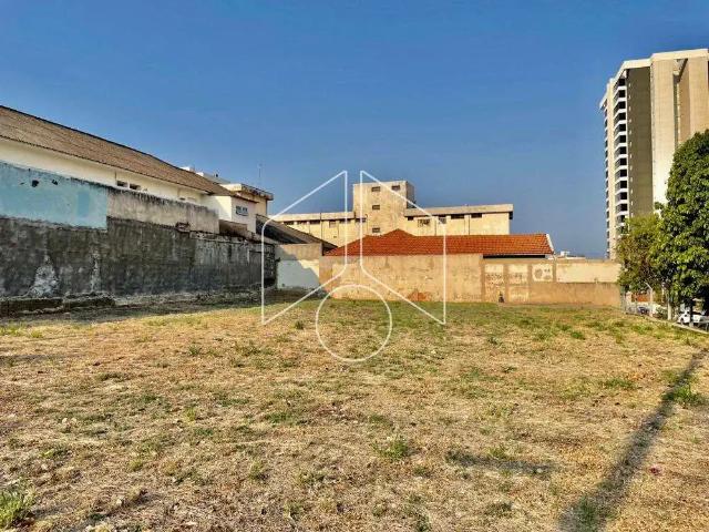 Terreno comercial para Locação em Marília/SP Barbosa