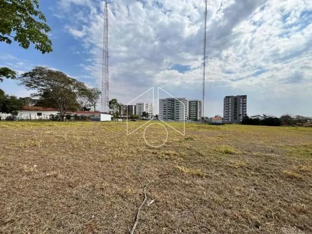 Terreno comercial para Locação em Marília/SP Fragata