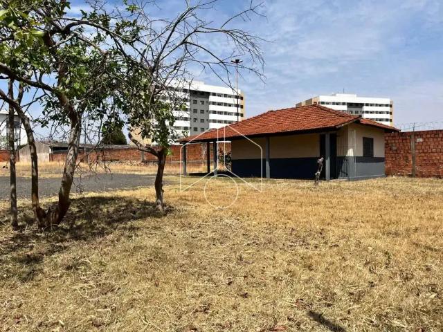 Terreno comercial para Locação em Marília/SP Fragata