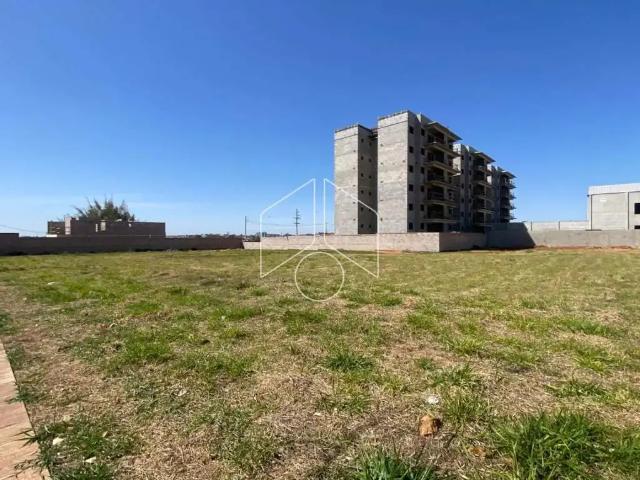 Terreno comercial para Locação em Marília/SP Jardim Maria Izabel