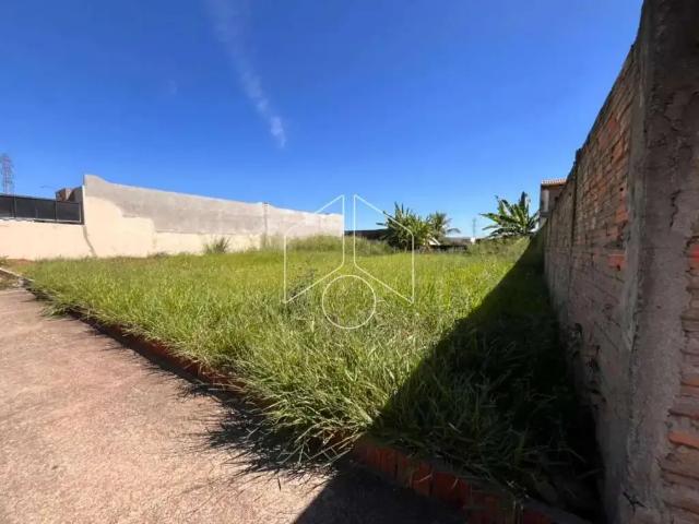 Terreno comercial para Locação em Marília/SP Jardim Cavallari