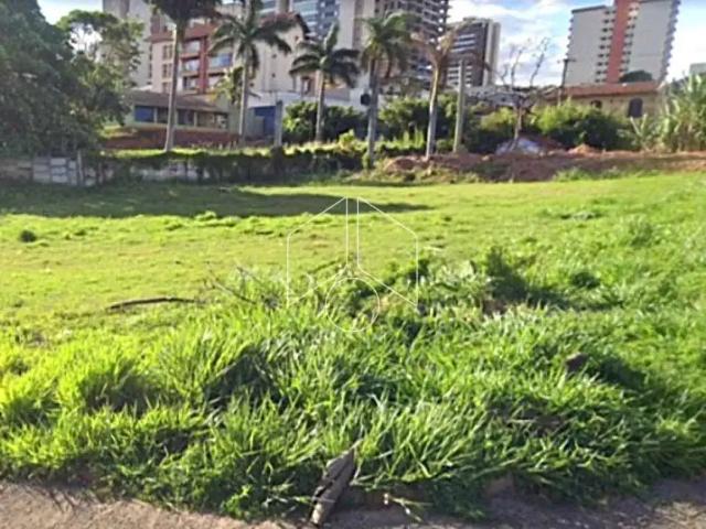 Terreno comercial para Locação em Marília/SP Jardim Dirceu
