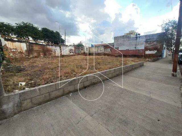 Terreno comercial para Locação em Marília/SP Marília