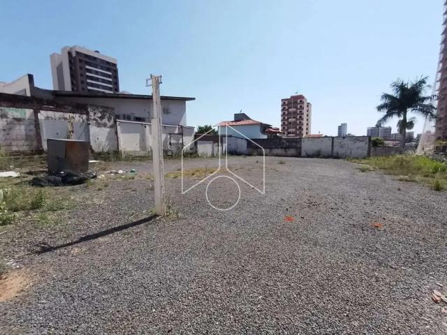 Terreno comercial para Locação em Marília/SP Marília