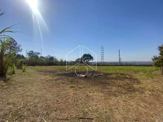 Terreno comercial para Locação em Marília/SP Sítios de Recreio Céu Azul