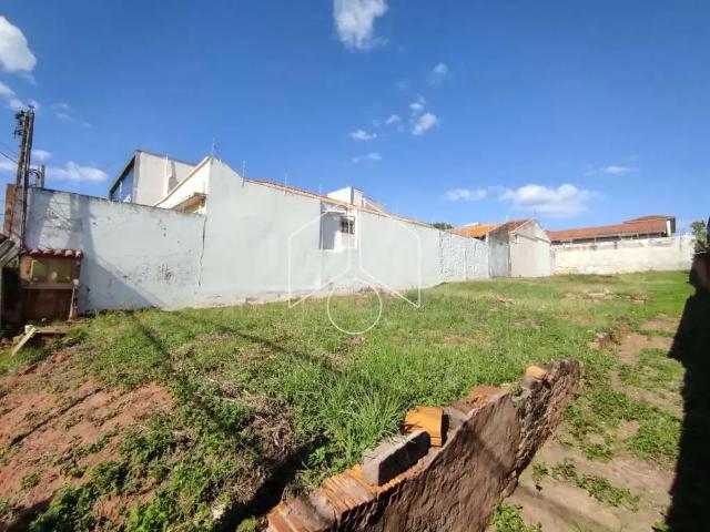 Terreno comercial para Locação em Marília/SP Palmital