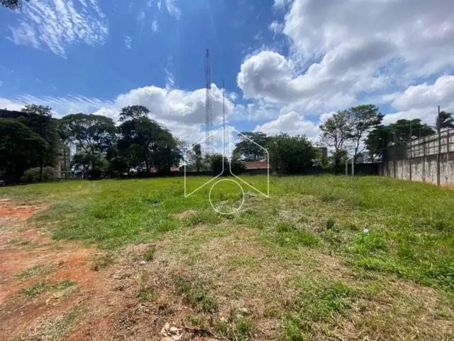 Terreno comercial para Locação em Marília/SP Parque das Indústrias