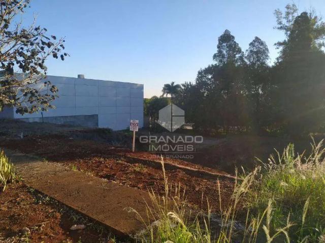 Terreno comercial para Locação em Maringá/PR Conjunto Habitacional Inocente Vila Nova Júnior