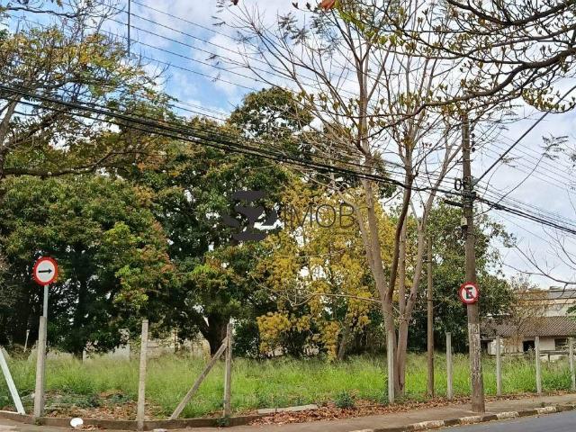 Terreno comercial para Locação em Mogi Mirim/SP Saúde