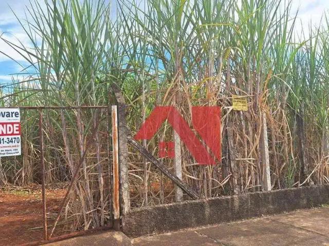 Terreno comercial para Locação em Mogi Guaçu/SP Centro