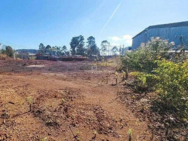 Terreno comercial para Locação em Nova Lima/MG Jardim Canadá