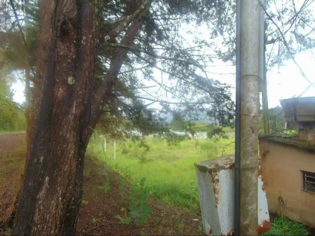 Terreno comercial para Locação em Nova Lima/MG Lagoa do Miguelão